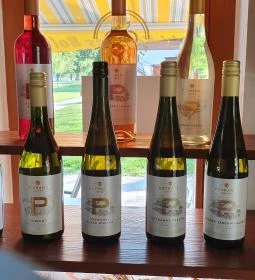 Csopaki Kincses Bolt - Csopaki Strand