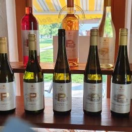 Csopaki Kincses Bolt - Csopaki Strand Csopak - Belső