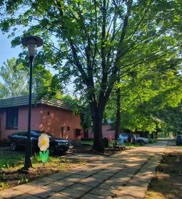 Csopaki Üdülőfalu és Kemping