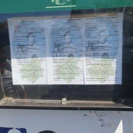 Csősztorony Grillterasz, Budapest - Egyéb