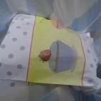 Cukormentes Cukrászda (Székesfehérvár) Székesfehérvár - Egyéb