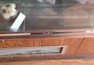 Cukorvirág Cukrászda Szigetszentmiklós