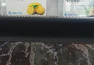 Cuppó Fagyizó Zamárdi