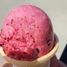 Cuppó Fagyizó Zamárdi - Egyéb