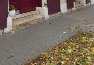 Czímer Húsbolt Biatorbágy