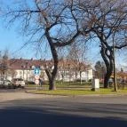 D and D kezműves cukrászda Jászberény - Egyéb