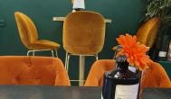 Darling Cafe & Bar, Sopron