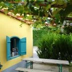 Darnay Borpince Gyenesdiás - Külső kép