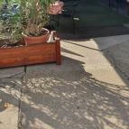 Dávid söröző Göd - Egyéb