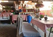 Dávid söröző Göd