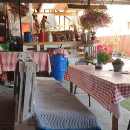 Dávid söröző Göd - Egyéb