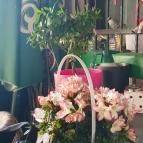 Dávid söröző Göd - Egyéb