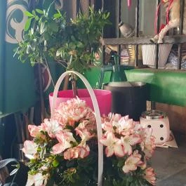 Dávid söröző Göd - Egyéb