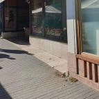 Delicatesse Eszpresszó Kecskemét - Egyéb