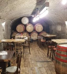 Demeter Borbár 44 Vinoteka