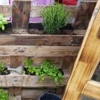 Demeter Borbár 44 Vinoteka Eger - Egyéb