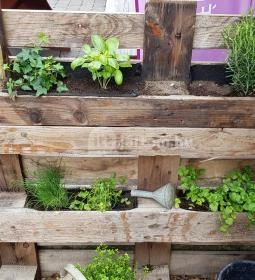 Demeter Borbár 44 Vinoteka