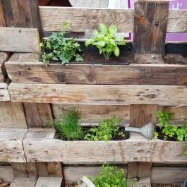 Demeter Borbár 44 Vinoteka, Eger - Egyéb