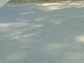 Denisa Kuckó Törökszentmiklós