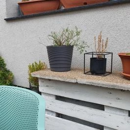 Desszert-Szalon, Dabas - Egyéb