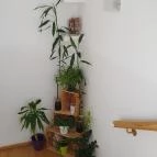 Desszert-Szalon Dabas - Egyéb