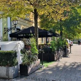 Mihályi Patisserie Vác - Egyéb