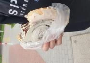 Favorit Pékség Deszk