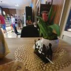 Diar Pékség Veresegyház - Egyéb