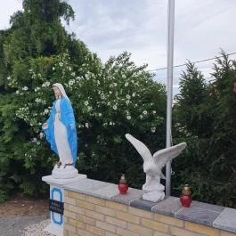 Diófa Csárda Harc - Egyéb