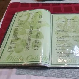 Diófa Csárda Harc - Egyéb