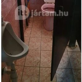 Diófa Söröző Tiszakanyár - Mosdó