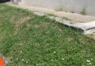 Diófa Söröző Nagymaros