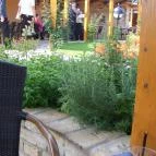 Diófa Vendéglő Székesfehérvár - Külső kép