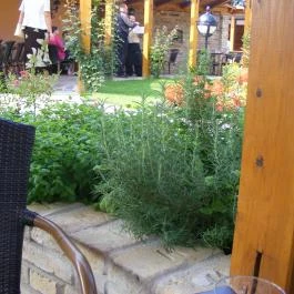 Diófa Vendéglő, Székesfehérvár - Külső kép