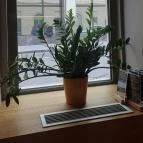 Divin Porcello - A Sonka Bár Budapest - Egyéb