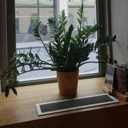 Divin Porcello - A Sonka Bár, Budapest - Egyéb