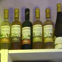 Divine & Delicia, Budapest - Egyéb