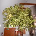 Dobogó Pincészet Tokaj - Egyéb