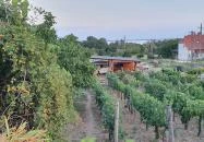 Dobosi-Stier Pincészet Badacsonyi Fröccsterasz Badacsony