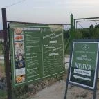 Dobosi-Stier Pincészet Badacsonyi Fröccsterasz Badacsony - Egyéb