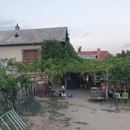 Dobosi-Stier Pincészet Badacsonyi Fröccsterasz Badacsony - Egyéb