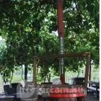 Dobosi-Stier Pincészet Badacsonyi Fröccsterasz Badacsony - Egyéb