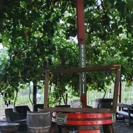 Dobosi-Stier Pincészet Badacsonyi Fröccsterasz Badacsony - Egyéb