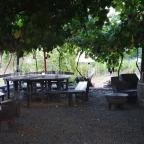 Dobosi-Stier Pincészet Badacsonyi Fröccsterasz Badacsony - Egyéb