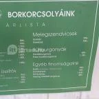 Dobosi-Stier Pincészet Badacsonyi Fröccsterasz Badacsony - Egyéb