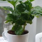 Doboz - The Circle of Life Eger - Egyéb