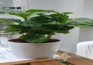 Doboz - The Circle of Life Eger Doboz - The Circle of Life Eger