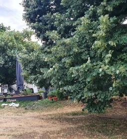 Édeskert Étterem & Fagyizó