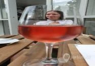 Doboz - The Circle of Life Eger Doboz - The Circle of Life Eger