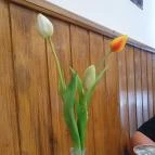 Dobozi Kisvendéglő Doboz - Egyéb